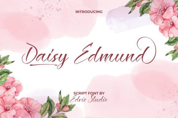 Daisy Edmund: A Calligraphy Font for Elegant Branding