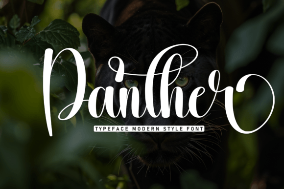 Panther: The Stylish Script Font for Elegant Design